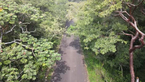 mountain cyclist on the way to the jungle