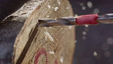 drilling hole in log for mushroom cultivation, permaculture