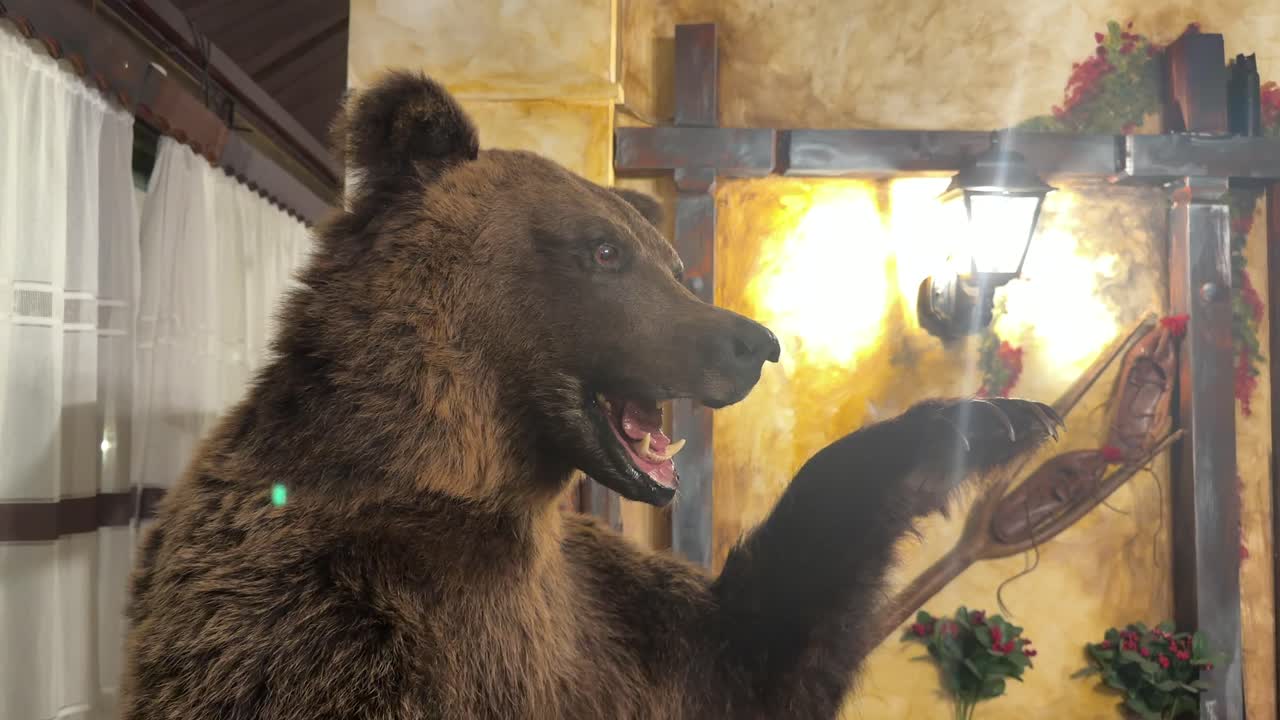 Ein ausgestopfter Bär, ausgestellt in einem rustikalen rumänischen Interieur mit warmer Umgebungsbeleuchtung