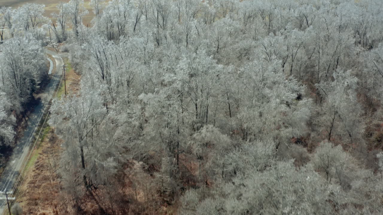시골의 겨울 들판을 드러내기 위해 얼음 숲 위로 패닝하는 공중 전망, 4k