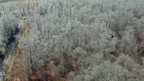 Aerial-view-panning-up-over-icy-forest-to-reveal-rural-winter-fields,-4K