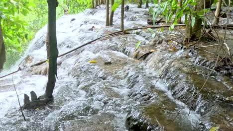 water flows smoothly over rocks surrounded by lush greenery and slender trees.