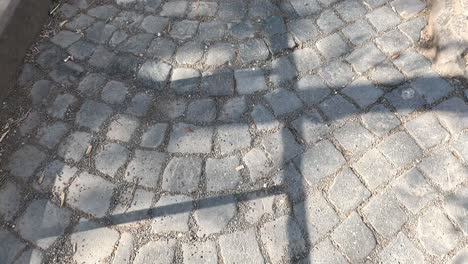 person walking on a cobblestone path, casting shadows