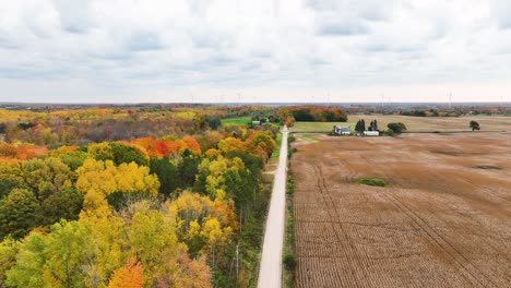 Seguimiento-De-Un-Camino-De-Tierra-Que-Divide-Un-Bosque-Otoñal-Y-Un-Campo-Vacío