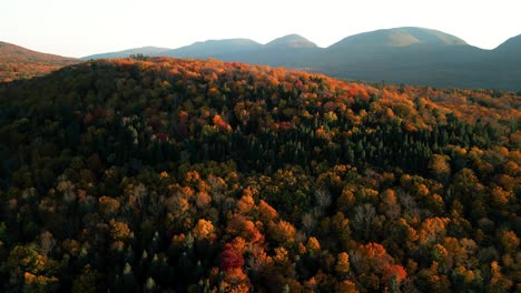 Revelación-Aérea-De-Montañas-Catskill-Con-Copas-De-árboles-De-Bosque-En-Brillantes-Colores-Otoñales---Gran-Alfombra-Naranja-Indica-Cambio-De-Estaciones