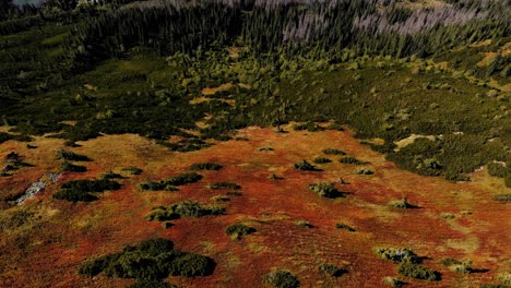 fast motion drone video overcoming a mountain showing a valley with its forest and its paths in slovakia