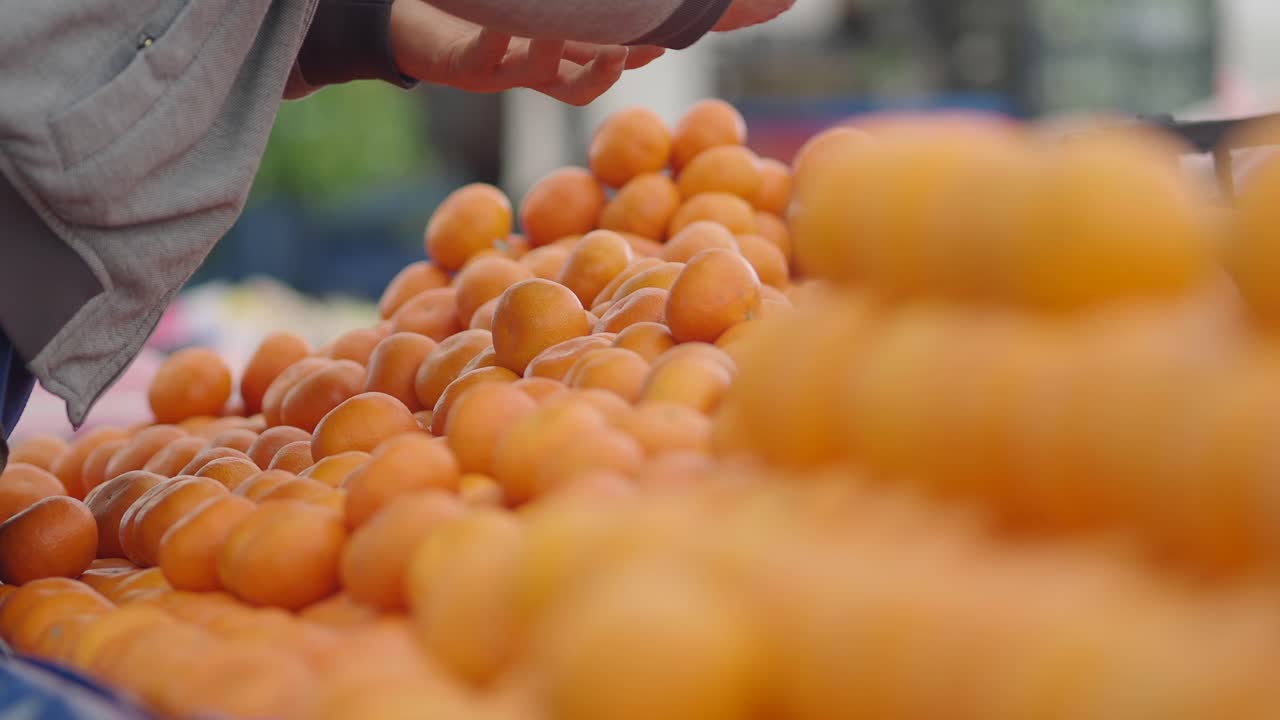Gros plan d'une main choisissant des oranges fraîches sur un étal de marché