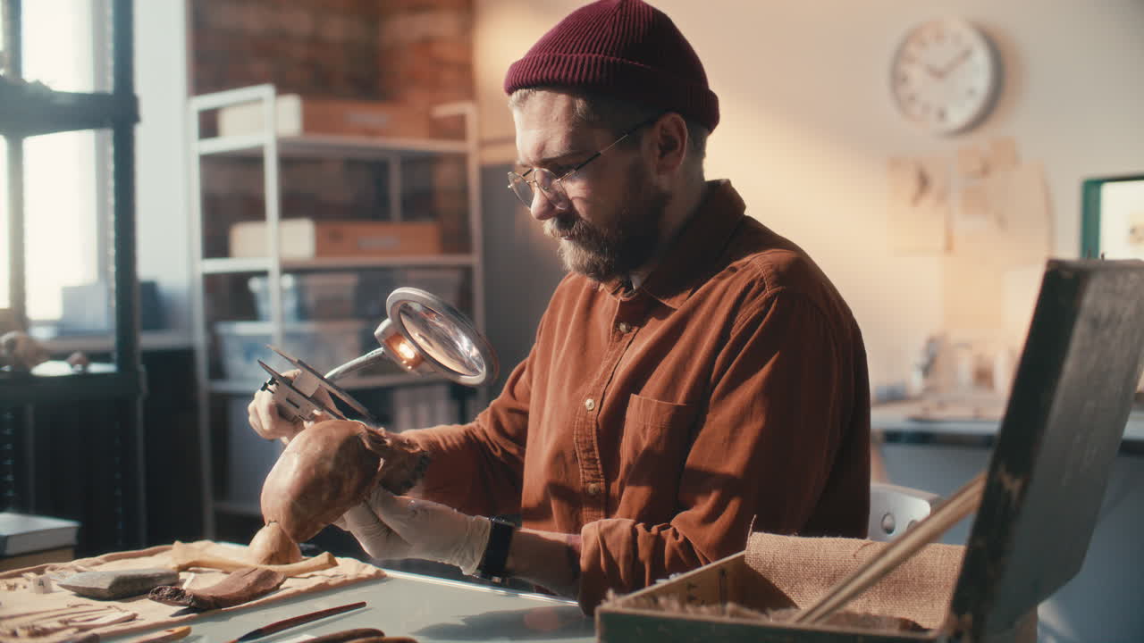 Focused Archaeologist Using Caliper to Measure Skull in Laboratory