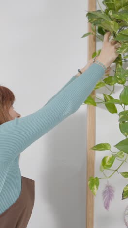 Woman pruning and caring for an indoor plant