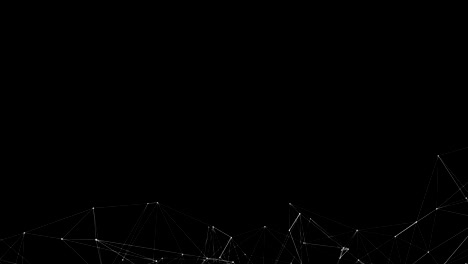 abstract connected polygons plexus digital data visualization loop