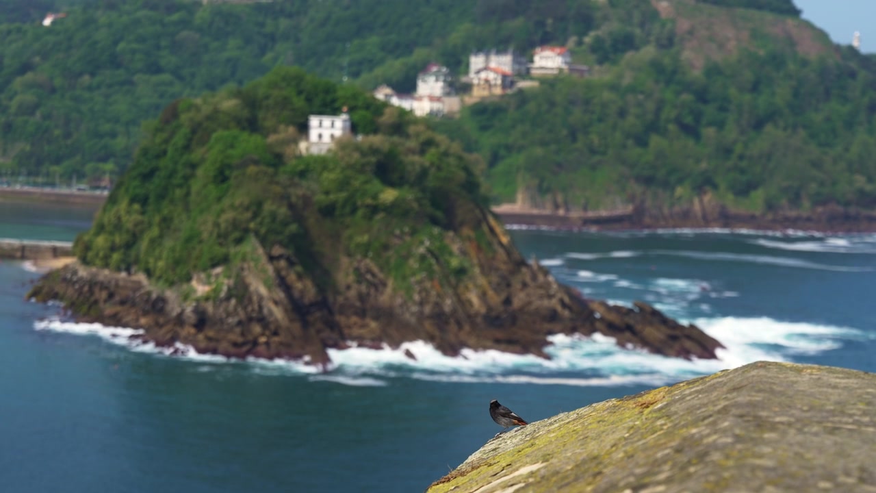 Costa di San Sebastian con vista su uccelli e isola rocciosa.