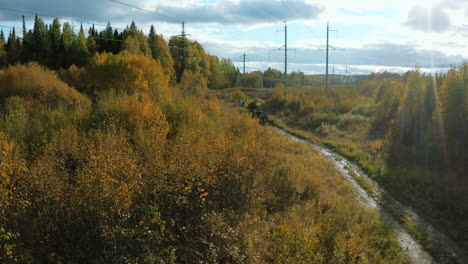 carretera forestal de otoño con vehículos
