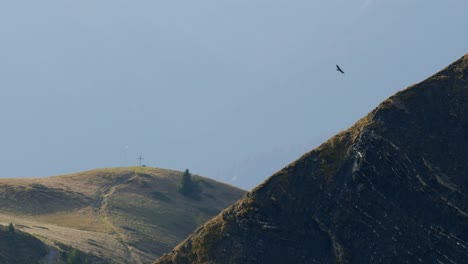 a big bird flies out from behind a cliff then disappears behind it again