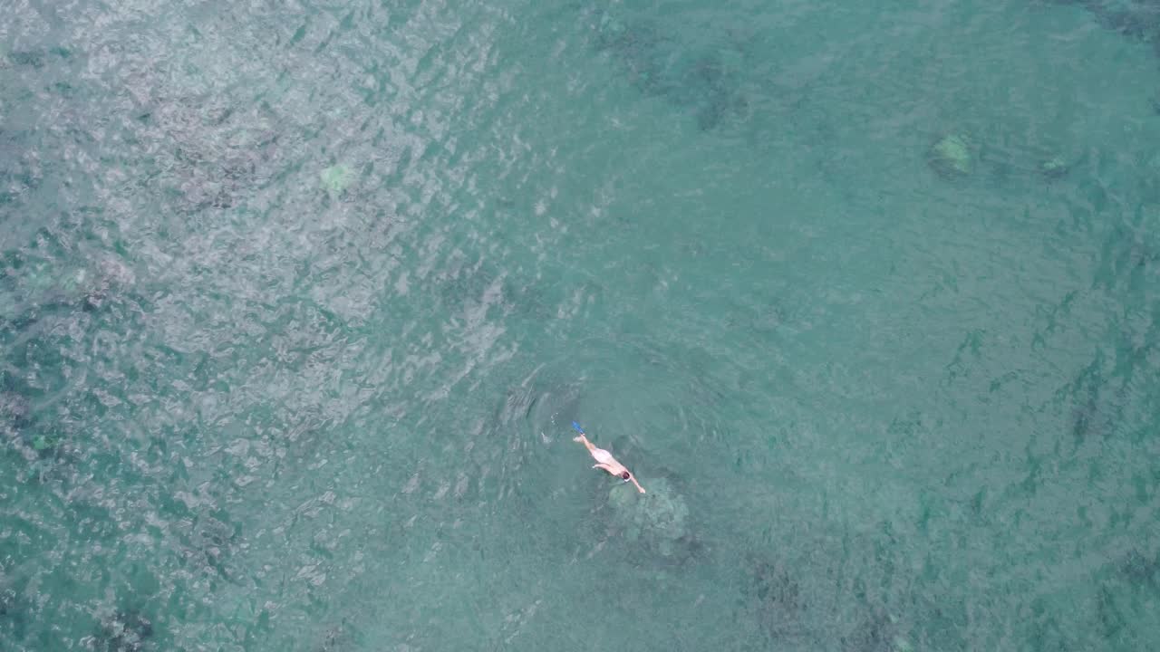 하와이의 맑고 푸른 물에서 스노클링하는 소년