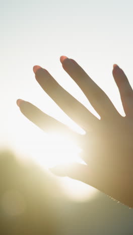 cerca de la mano alcanzando hacia la luz del sol, creando una hermosa interacción entre los dedos y los rayos del sol, con un fondo borroso que enfatiza el entorno al aire libre sereno