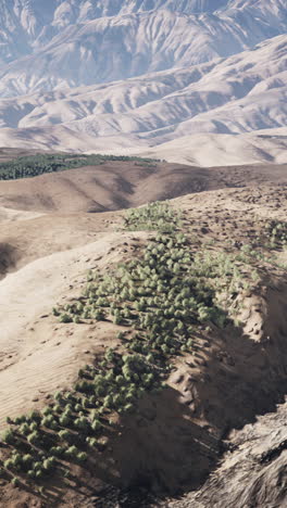 paisaje de montaña desértico