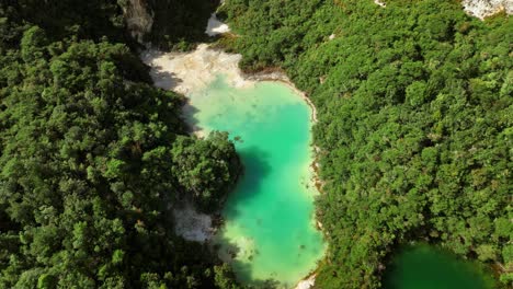 lago de cráter geotérmico rodeado de un exuberante bosque verde en un paisaje volcánico