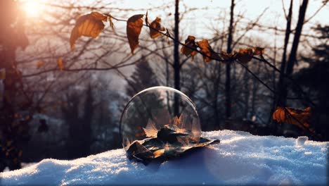 Soap-bubble-freezes-as-the-sun-rises