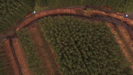 operaciones de silvicultura y tala que se llevan a cabo en las tierras altas de escocia utilizando grandes maquinarias industriales, barcos y camiones