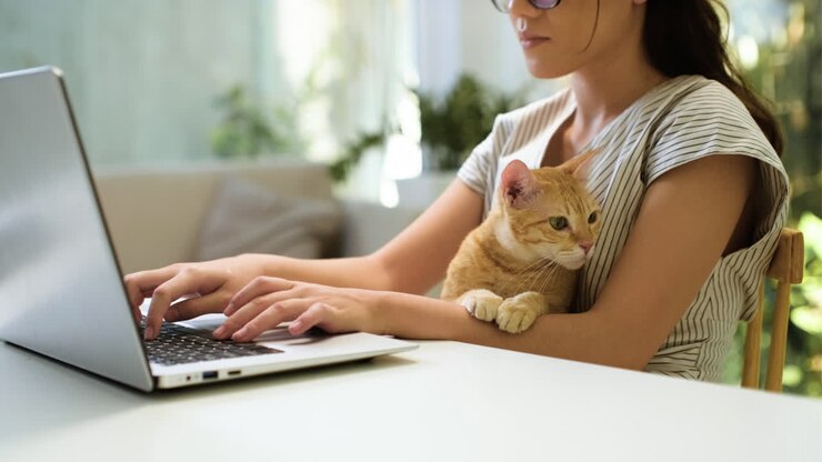 Woman working on laptop with cat