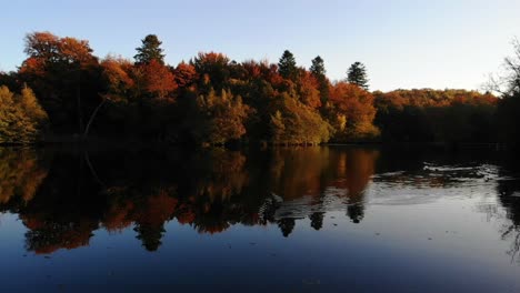 Luftaufnahme-Eines-Wunderschönen-Sees-Mit-Seevögeln-Und-Bäumen-Mit-Herbstfarben-In-Seeland,-Dänemark