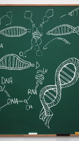dna and rna diagrams on a chalkboard
