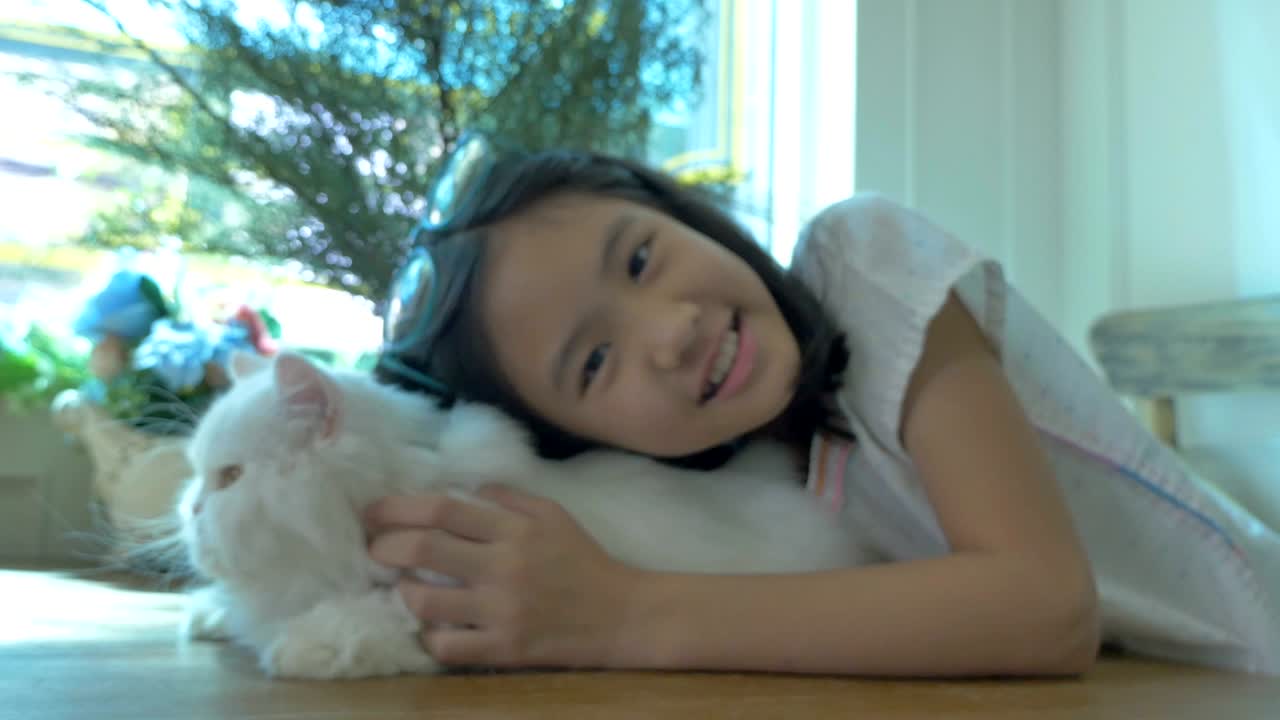 사랑스러운 아시아 소녀가 그녀의 페르시아 고양이와 놀고 있습니다.