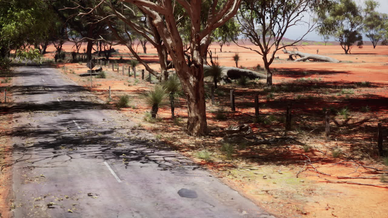 버려진 사막 도로