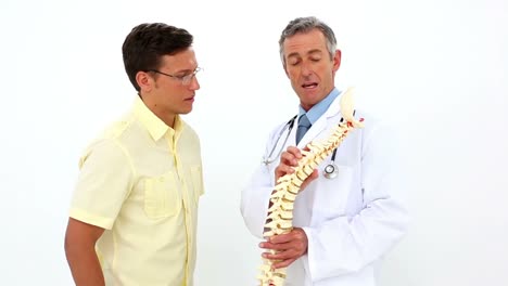 doctor holding model of spine talking to patient