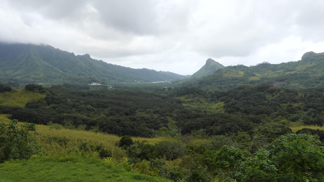 Serene Tropical Mountain Valley Landscape