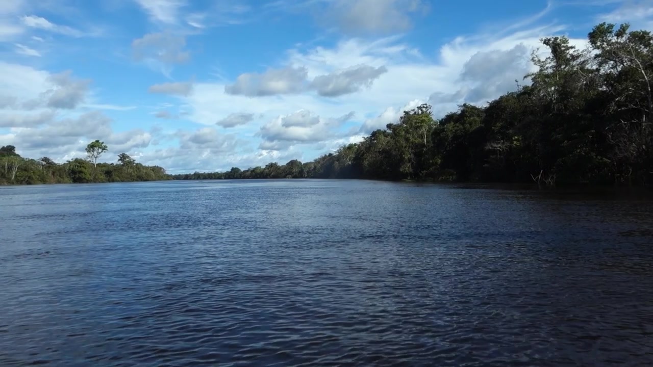 Meravigliosa scena di un ampio fiume delimitato dalla foresta pluviale amazzonica in Brasile con cielo azzurro