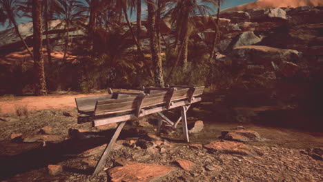 a wooden bench in an oasis in the desert