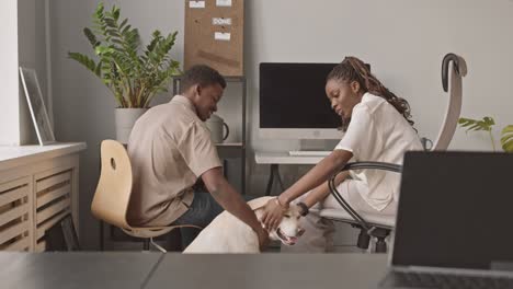 colleagues playing with labrador in office