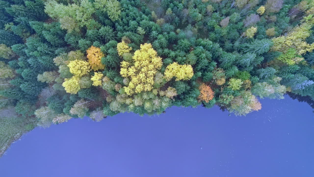 drohne erhebt sich in wolken über see und dichtem wald mit leuchtenden herbstfarben