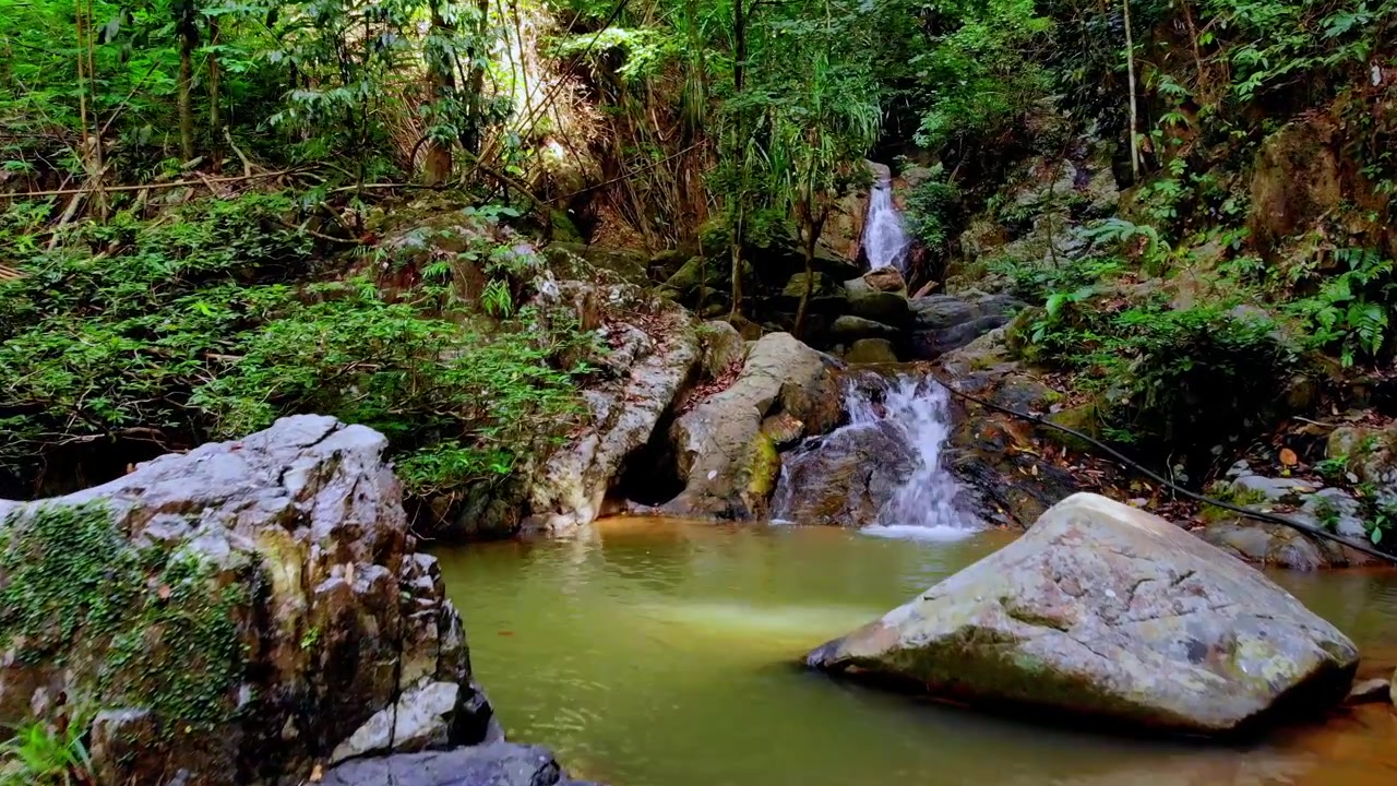 Seguimiento hacia adelante a través de una densa selva tropical hacia una suave cascada que cae sobre rocas cubiertas de musgo en una tranquila piscina natural rodeada de exuberante vegetación tropical.