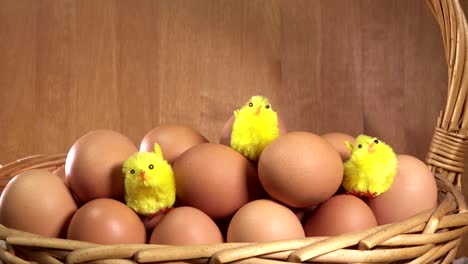 toy chickens sit between eggs