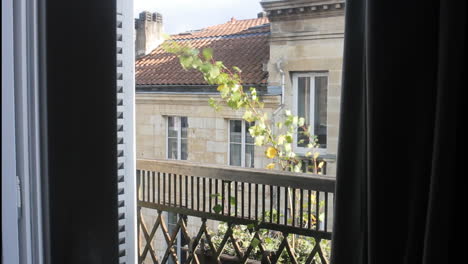 view from a balcony