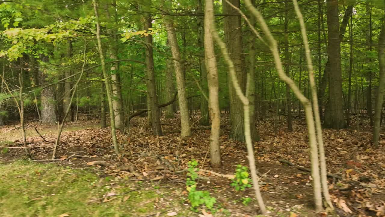 movimiento hacia la derecha de un comienzo de sendero y señal