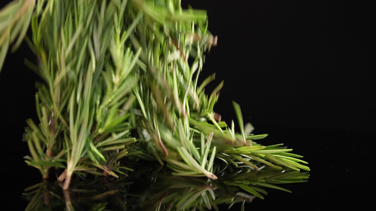 Rosemary sprigs fall onto a reflective black surface, creating a dynamic and visually appealing arrangement
