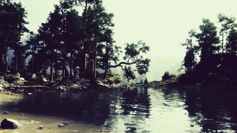 serene lakeside view surrounded by tall trees in a tranquil setting