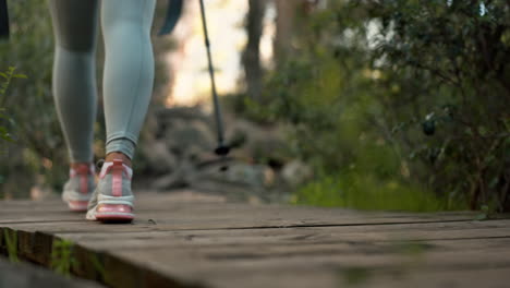 Legs,-hiking-stick-and-walking-on-bridge