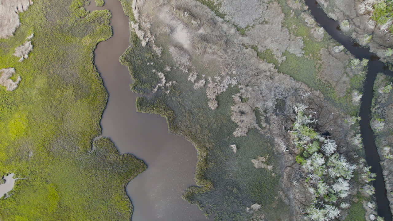 disparo de avión no tripulado de pantano salado en el verano