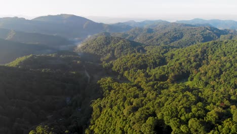 4K-Drohnenvideo,-Das-An-Einem-Nebligen-Morgen-Hoch-über-Bäumen-In-Rauchigen-Bergen-In-Der-Nähe-Des-Appalachian-Trail-Entlang-Der-Grenze-Zwischen-North-Carolina-Und-Tennessee-Fliegt