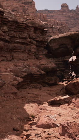 a view of a red rock canyon