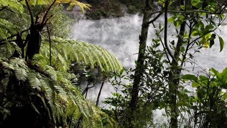 Valle-Del-Rift-Volcánico-De-Waimangu-Y-Fuente-Termal-Del-Lago-Del-Cráter-De-La-Sartén-Humeando-A-Través-De-Helechos-Verdes-En-Rotorua,-Nueva-Zelanda-Aotearoa