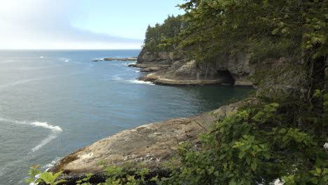 Rocky-Coastline-Cliff-with-Sea-Cave-and-Green-Foliage