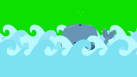 la ballena de dibujos animados nada en el mar en una pantalla verde