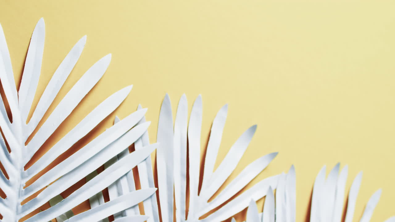 노란색 배경 에 복사 공간 을 가진  ⁇ 색 식물 잎 의 비디오