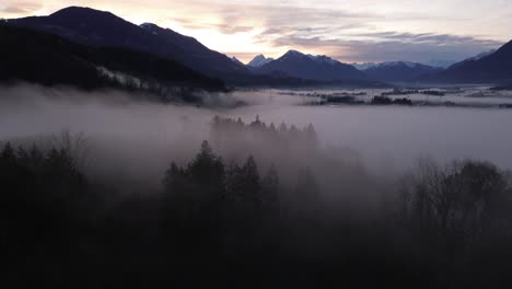 Drones-Vuelan-Sobre-El-Bosque-De-Pinos-Brumosos-Y-Se-Inclinan-Hacia-Arriba-Para-Revelar-Un-Increíble-Amanecer-Sobre-El-Paisaje-Montañoso-De-La-Naturaleza-Brumosa-En-Vorarlberg,-Austria