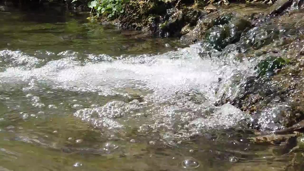 Arroyo en el bosque en primavera.